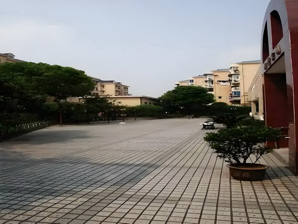 今年的深圳落户政策_泰国还没真正出手，洪森就呼吁冷静 地方落实政府主体责任